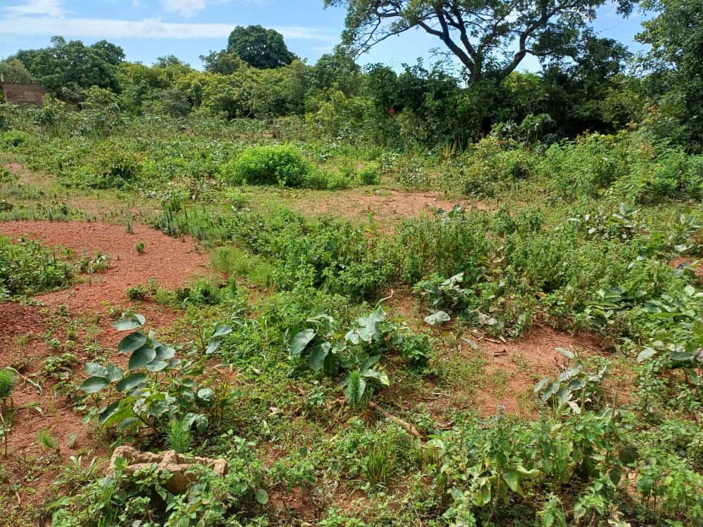Un terrain de 600m² derrière l'université avec un ACD
